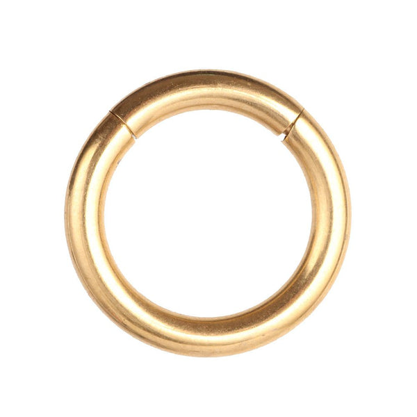 Steel Segment Ring Nose Rings
